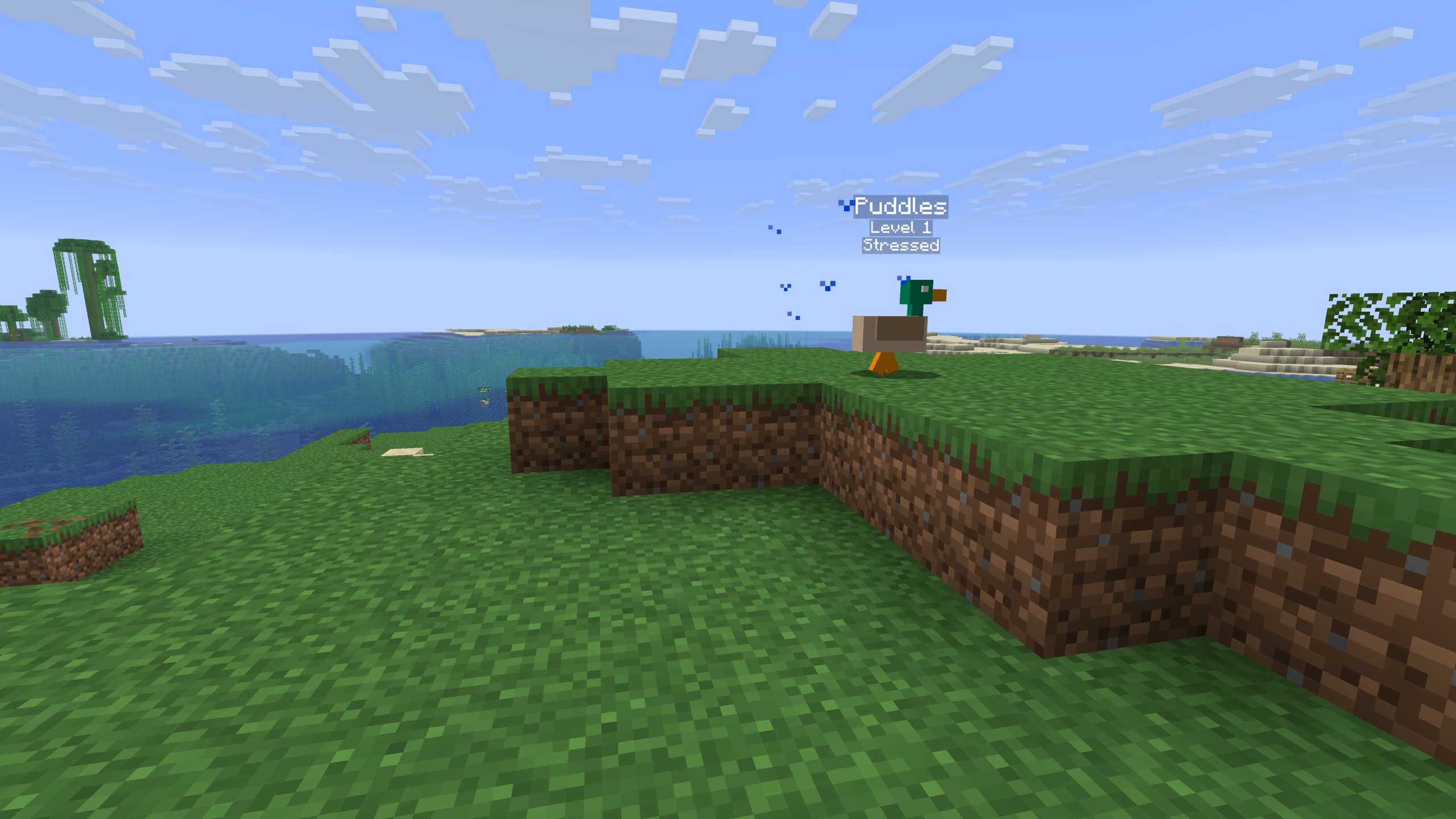 Puddles being stressed