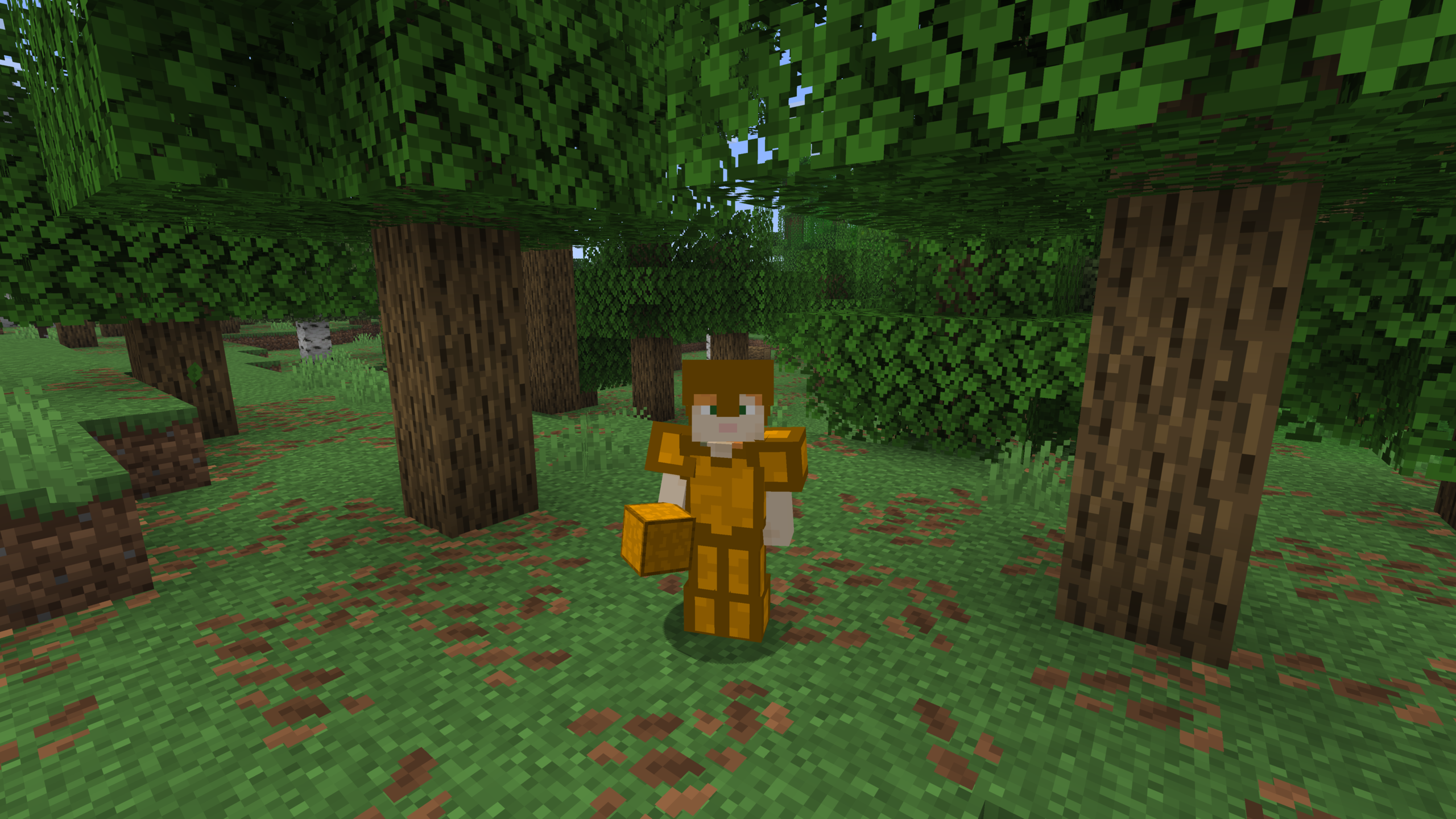 Player wearing Quackmium armor